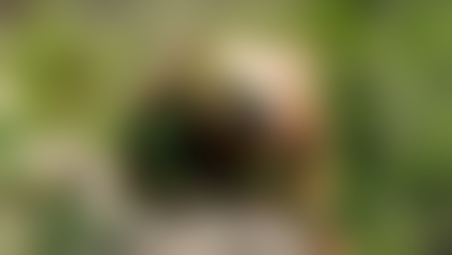 Φρίκη και ανατριχίλα στη Δράμα! Σκότωσαν και α@@@@@… Φρίκη-και-ανατριχίλα-στη-Δράμα!-Σκότωσαν-και-α@@@@@…