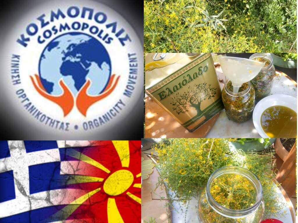 Κίνηση-Οργανικότητας-ΚΟΣΜΟΠΟΛΙΣ-Εκδήλωση:-Σπαθόχορτο-ή-υπερικός,-βαλσαμέλαιο-και-Σκοπιανό!