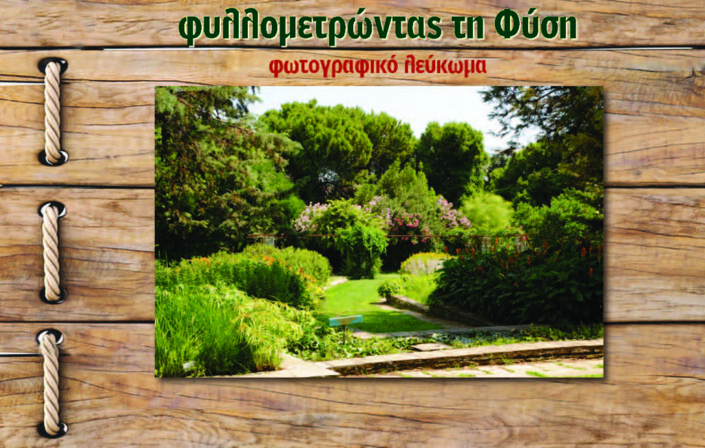 ΚΟΣΜΟΠΟΛΙΣ-Η-Περιπατητική-Φιλοσοφική-Σχολή-θα-συναντηθεί-στο Βοτανικό-Κήπο-«ΙΟΥΛΙΑΣ-&-ΑΛΕΞΑΝΔΡΟΥ-ΔΙΟΜΗΔΟΥΣ»!