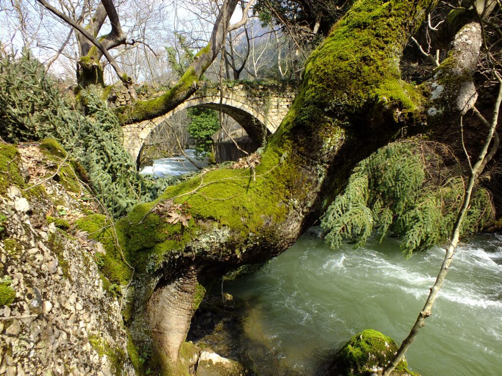 ΚΟΣΜΟΠΟΛΙΣ-Πεζοπορία-στο-Φαράγγι-του-Βουραϊκού-–-Δηλώστε-συμμετοχή!