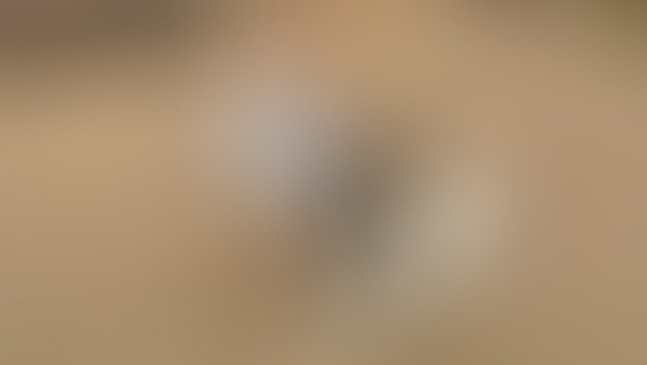 Αυτό είναι το ξανθό αγγελούδι που κ@@@@@@@ το πίτμπουλ, χτες, στη Ζάκυνθο – Μαθεύτηκε τι είχε μέσα στο…