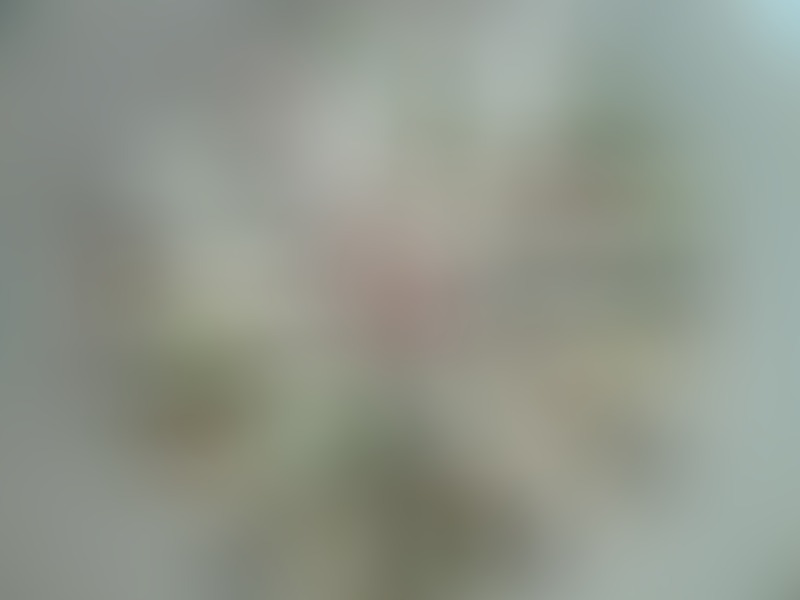 ΕΦΕΤ:-Αυτο-το-ψάρι-αποσύρεται-από-την-ελληνική-αγορά-–-“Μην-το-καταναλώσετε”-–-Είναι-το…