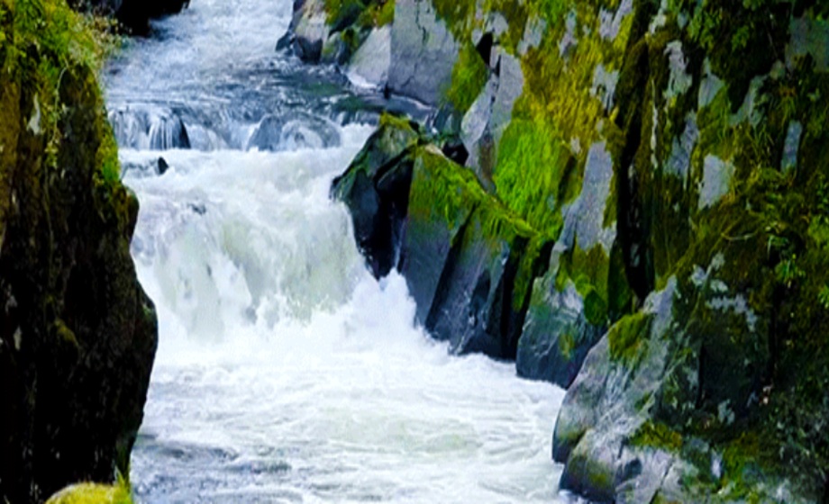 Συναγερμός σε πασίγνωστο ελληνικό ποτάμι! Φρικιαστικό το θέαμα και φόβος για… Συναγερμός-σε-πασίγνωστο-ελληνικό-ποτάμι!-Φρικιαστικό-το-θέαμα-και-φόβος-για…