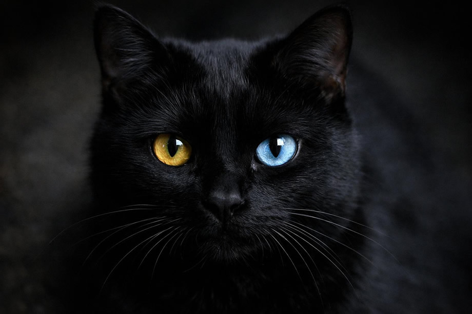 Αυτά-είναι-τα-3-πιο-γρουσούζικα-ζώδια-–-Μείνε-μακριά-τους!-–-“Ρουφάνε”-την-καλή-σου-τύχη