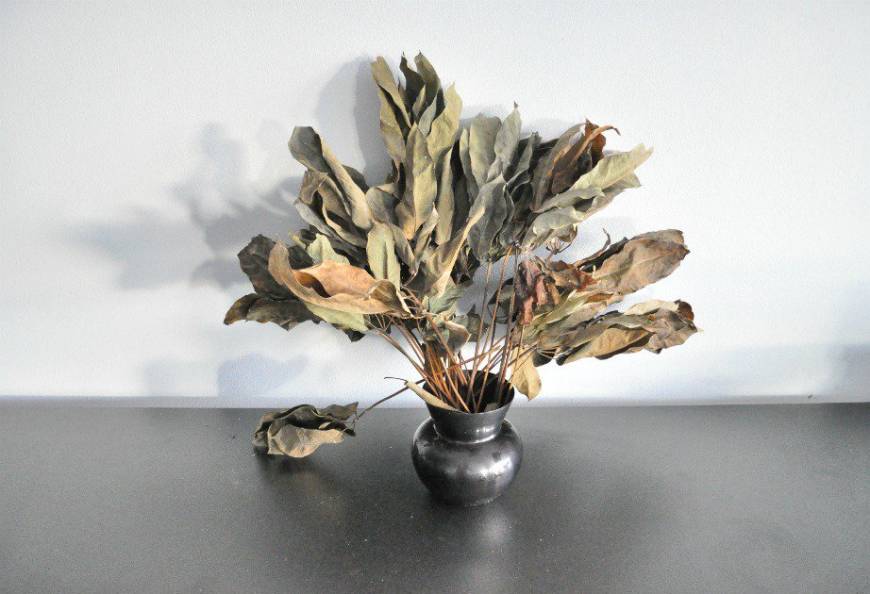 Αυτά-τα-6-αντικείμενα-πρέπει-να-τα-πετάξεις-αμέσως-από-το-σπίτι-σου!-Εμποδίζουν-την-τύχη-και-“τραβάνε”-κακή-ενέργεια