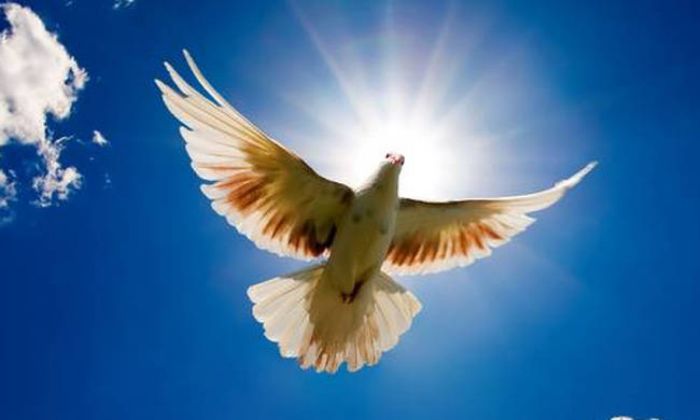 Αγίου-Πνεύματος-2026:-Πότε-«πέφτει»-φέτος-–-Τι-διαφορετικό-έχει-αυτή-τη-χρονιά;