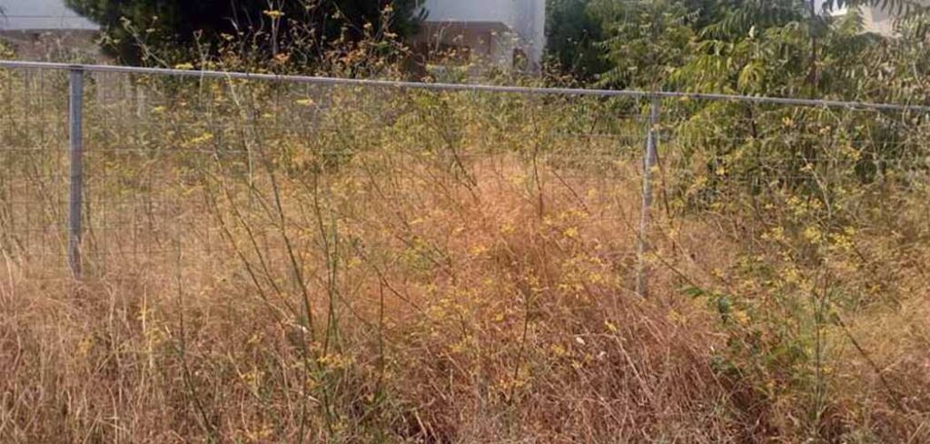 Τέλος-χρόνου-για-τα-ακαθάριστα-οικόπεδα-–-Δεν-είναι-όπως-τα-ξέρατε!-Πώς-θα-μπορέσετε-να…