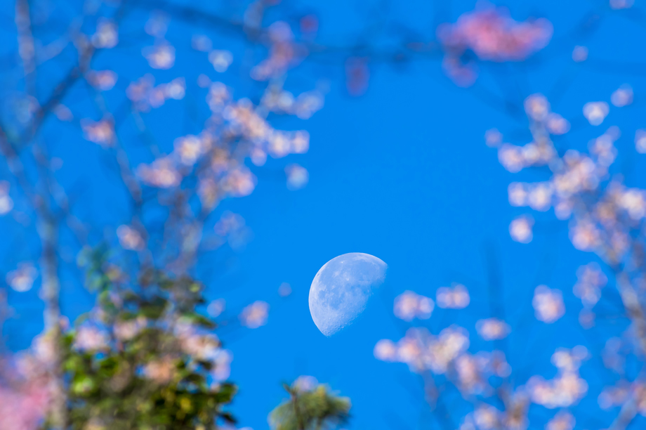 Πρωτομαγιά-με-Πανσέληνο:-Τα-ζώδια-που-ευνοούνται-και-εκείνο-που-πρέπει-να-προσέξει-«Φεγγάρι-των-Λουλουδιών»