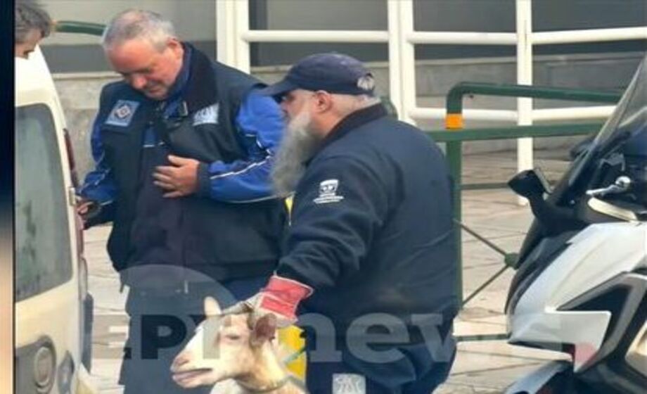 Αμπελόκηποι:-Δεν-θα-πιστεύετε-ποιος-είναι-ο-γνωστός-άντρας-που-είχε-το-παράνομο-μαντρί-στην-ταράτσα!-Σάλος…