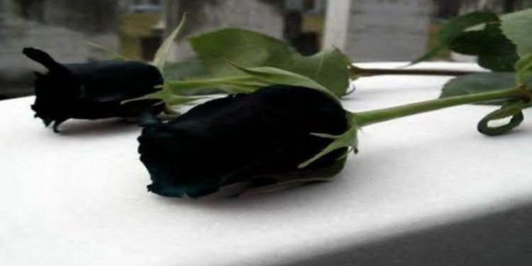 Έγινε-γνωστό,-πριν-από-λίγο-–-Πέθανε-θρυλικός-ηθοποιός-του-κινηματογράφου-και-της-τηλεόρασης